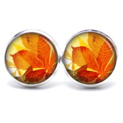 Ohrstecker, Ohrhänger, Clipse & Druckknopf - Motiv Herbstblätter - Schmuck aus Edelstahl