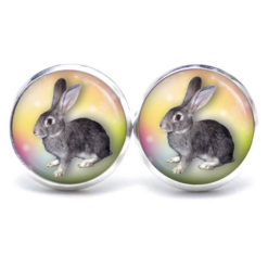 Ohrstecker, Ohrhänger, Clipse & Druckknopf – Motiv Osterhase Ostern grauer Hase – Schmuck aus Edelstahl
