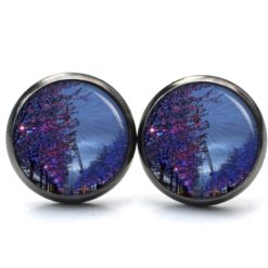 Druckknopf Ohrstecker Ohrhänger Clipse Frühlingsboten bei Nacht blau rosa Druckknopf Ohrstecker Ohrhänger Clipse Frühlingsboten bei Nacht blau rosa