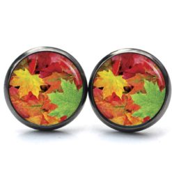 Ohrstecker, Ohrhänger, Clipse & Druckknopf – Motiv Herbst mit bunten Blättern – Schmuck aus Edelstahl Ohrstecker, Ohrhänger, Clipse & Druckknopf – Motiv Herbst mit bunten Blättern – Schmuck aus Edelstahl