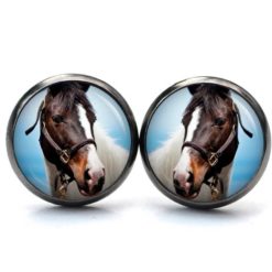 Ohrstecker, Ohrhänger, Clipse & Druckknopf – Motiv Pferd Pferdekopf weiß braun – Schmuck aus Edelstahl Ohrstecker, Ohrhänger, Clipse & Druckknopf – Motiv Pferd Pferdekopf weiß braun – Schmuck aus Edelstahl