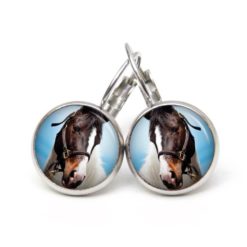 Ohrstecker, Ohrhänger, Clipse & Druckknopf – Motiv Pferd Pferdekopf weiß braun – Schmuck aus Edelstahl Ohrstecker, Ohrhänger, Clipse & Druckknopf – Motiv Pferd Pferdekopf weiß braun – Schmuck aus Edelstahl