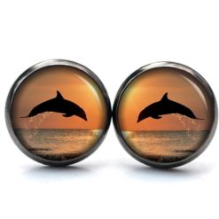 Ohrstecker, Ohrhänger, Clipse & Druckknopf – Motiv Delfin bei Sonnenuntergang Meer – Schmuck aus Edelstahl Ohrstecker, Ohrhänger, Clipse & Druckknopf – Motiv Delfin bei Sonnenuntergang Meer – Schmuck aus Edelstahl