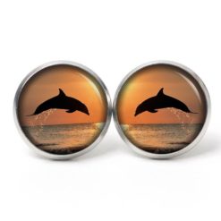 Ohrstecker, Ohrhänger, Clipse & Druckknopf – Motiv Delfin bei Sonnenuntergang Meer – Schmuck aus Edelstahl