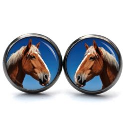 Ohrstecker, Ohrhänger, Clipse & Druckknopf – Motiv Pferd Pferdekopf braun – Schmuck aus Edelstahl Ohrstecker, Ohrhänger, Clipse & Druckknopf – Motiv Pferd Pferdekopf braun – Schmuck aus Edelstahl