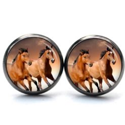 Druckknopf Ohrstecker Ohrhänger Clipse Pferd braune Pferde rennende Pferde Druckknopf Ohrstecker Ohrhänger Clipse Pferd braune Pferde rennende Pferde