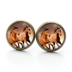 Druckknopf Ohrstecker Ohrhänger Clipse Pferd braune Pferde rennende Pferde Druckknopf Ohrstecker Ohrhänger Clipse Pferd braune Pferde rennende Pferde