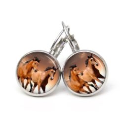 Druckknopf Ohrstecker Ohrhänger Clipse Pferd braune Pferde rennende Pferde Druckknopf Ohrstecker Ohrhänger Clipse Pferd braune Pferde rennende Pferde