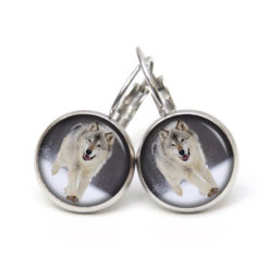 Ohrstecker, Ohrhänger, Clipse & Druckknopf – Motiv Wolf im Schnee – Schmuck aus Edelstahl Ohrstecker, Ohrhänger, Clipse & Druckknopf – Motiv Wolf im Schnee – Schmuck aus Edelstahl