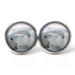 Ohrstecker, Ohrhänger, Clipse & Druckknopf – Motiv Clipse Eisbär Eisbären – Schmuck aus Edelstahl