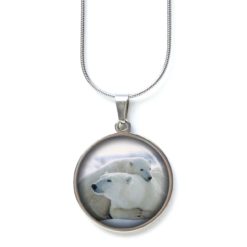 Ohrstecker, Ohrhänger, Clipse & Druckknopf – Motiv Clipse Eisbär Eisbären – Schmuck aus Edelstahl Ohrstecker, Ohrhänger, Clipse & Druckknopf – Motiv Clipse Eisbär Eisbären – Schmuck aus Edelstahl