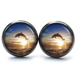 Ohrstecker, Ohrhänger, Clipse & Druckknopf – Motiv Delfin bei Abendstimmung – Schmuck aus Edelstahl