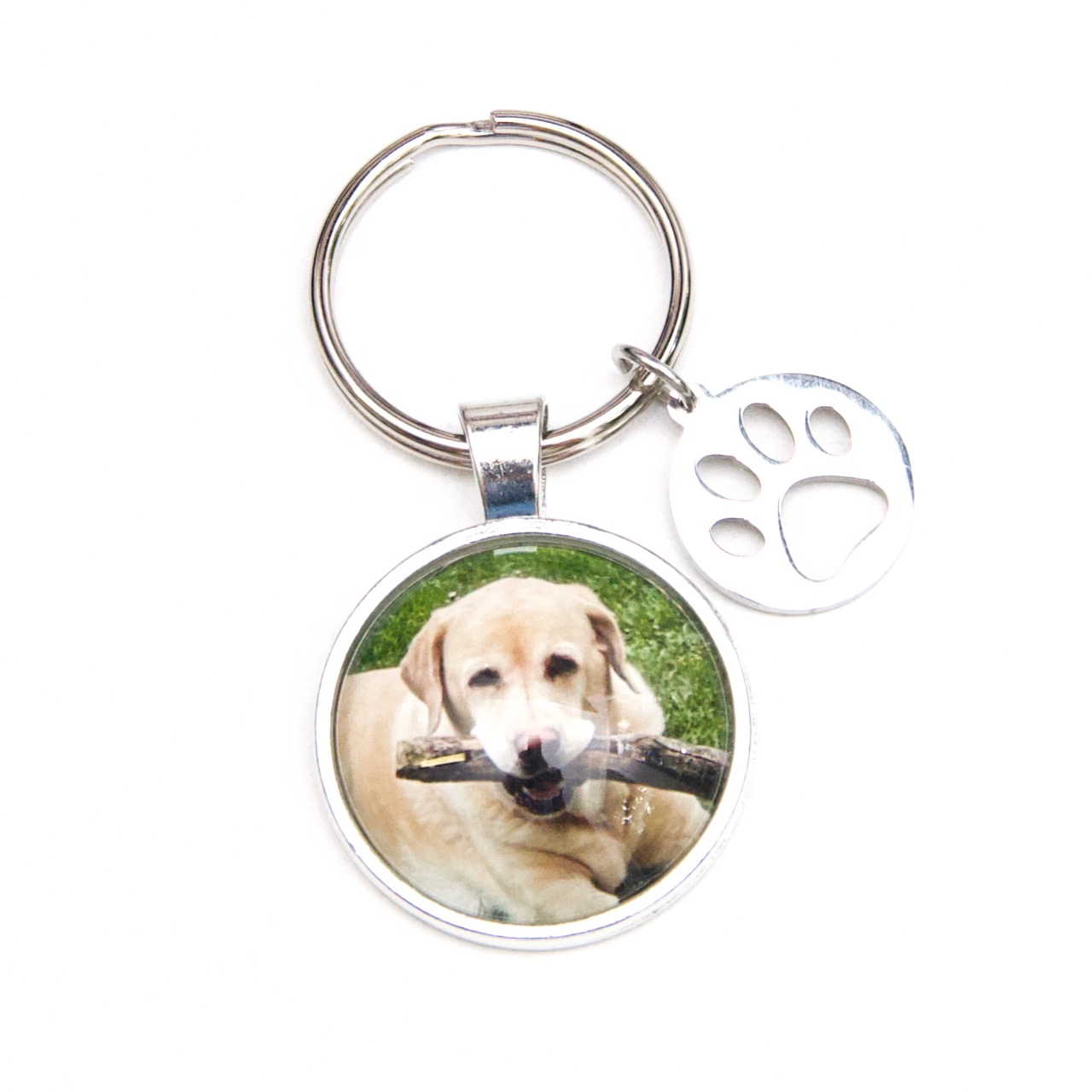 Hunde Schlüsselanhänger personalisiert mit deinem Hunde Bild Hunde Schlüsselanhänger personalisiert mit deinem Hunde Bild