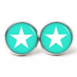 Ohrstecker, Ohrhänger, Clipse & Druckknopf – Motiv mintgrün weißer Stern – Schmuck aus Edelstahl
