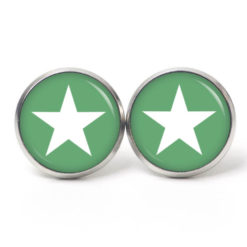 Ohrstecker, Ohrhänger, Clipse & Druckknopf – Motiv grasgrün weißer Stern – Schmuck aus Edelstahl