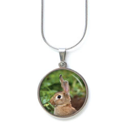 Osterhase Ohrringe aus Edelstahl – Ohrstecker, Ohrhänger, Clipse oder Druckknopf – süßer brauner Hase Ostern Osterhase Ohrringe aus Edelstahl – Ohrstecker, Ohrhänger, Clipse oder Druckknopf – süßer brauner Hase Ostern
