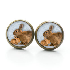 Osterhase Ohrringe aus Edelstahl – Ohrstecker, Ohrhänger, Clipse oder Druckknopf – zwei braune Hase Ostern Osterhase Ohrringe aus Edelstahl – Ohrstecker, Ohrhänger, Clipse oder Druckknopf – zwei braune Hase Ostern