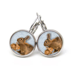 Osterhase Ohrringe aus Edelstahl – Ohrstecker, Ohrhänger, Clipse oder Druckknopf – zwei braune Hase Ostern Osterhase Ohrringe aus Edelstahl – Ohrstecker, Ohrhänger, Clipse oder Druckknopf – zwei braune Hase Ostern