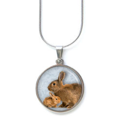 Osterhase Ohrringe aus Edelstahl – Ohrstecker, Ohrhänger, Clipse oder Druckknopf – zwei braune Hase Ostern Osterhase Ohrringe aus Edelstahl – Ohrstecker, Ohrhänger, Clipse oder Druckknopf – zwei braune Hase Ostern