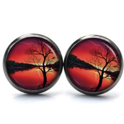 Ohrstecker, Ohrhänger, Clipse & Druckknopf – Motiv Abendstimmung See mit Baum – Schmuck aus Edelstahl
