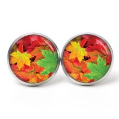 Ohrstecker, Ohrhänger, Clipse & Druckknopf – Motiv Herbst mit bunten Blättern – Schmuck aus Edelstahl