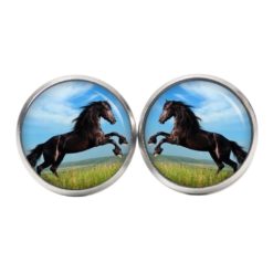 Druckknopf Ohrstecker Ohrhänger springendes schwarzes Pferd Pferde