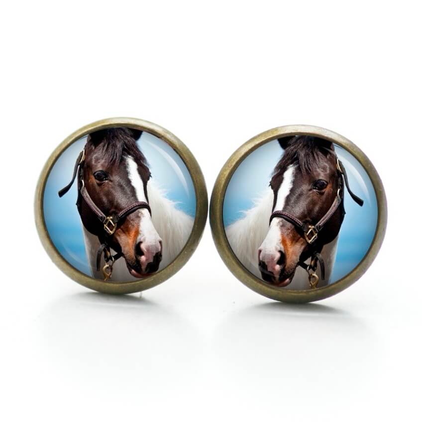 Ohrstecker, Ohrhänger, Clipse & Druckknopf – Motiv Pferd Pferdekopf weiß braun – Schmuck aus Edelstahl Ohrstecker, Ohrhänger, Clipse & Druckknopf – Motiv Pferd Pferdekopf weiß braun – Schmuck aus Edelstahl