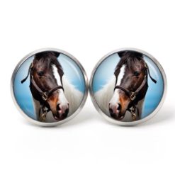 Ohrstecker, Ohrhänger, Clipse & Druckknopf – Motiv Pferd Pferdekopf weiß braun – Schmuck aus Edelstahl