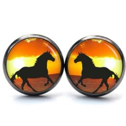 Ohrstecker, Ohrhänger, Clipse & Druckknopf – Motiv Pferd bei Sonnenuntergang – Schmuck aus Edelstahl