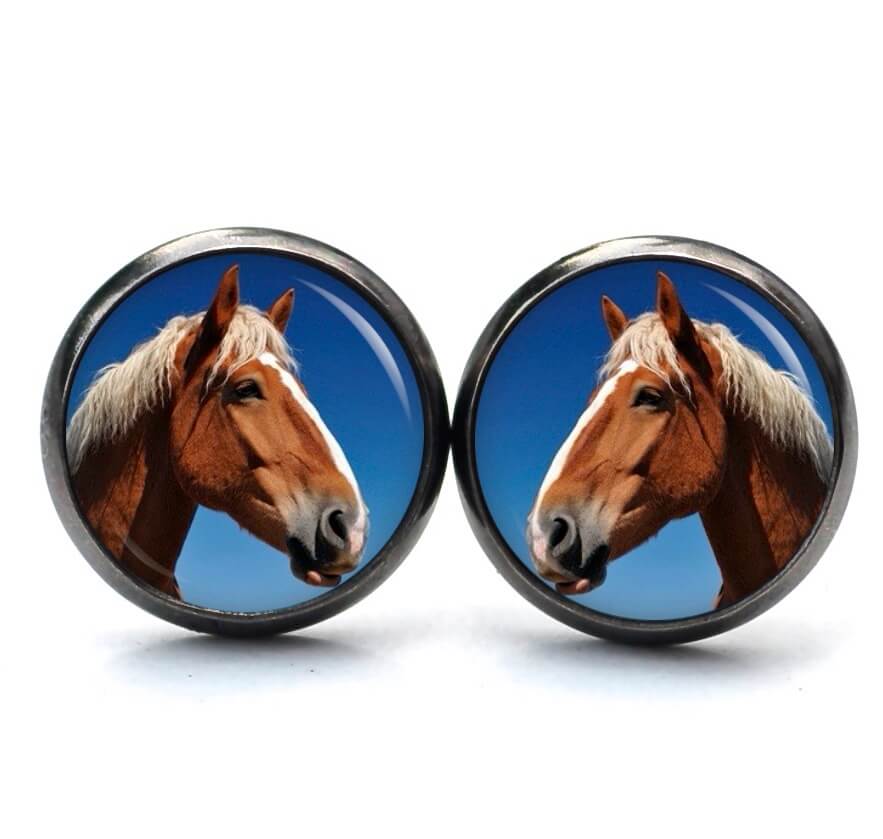 Ohrstecker, Ohrhänger, Clipse & Druckknopf – Motiv Pferd Pferdekopf braun – Schmuck aus Edelstahl Ohrstecker, Ohrhänger, Clipse & Druckknopf – Motiv Pferd Pferdekopf braun – Schmuck aus Edelstahl