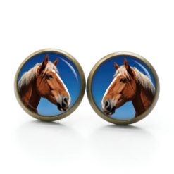 Ohrringe Pferd Pferdekopf braun