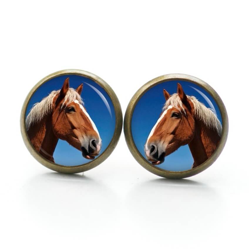 Ohrstecker, Ohrhänger, Clipse & Druckknopf – Motiv Pferd Pferdekopf braun – Schmuck aus Edelstahl Ohrstecker, Ohrhänger, Clipse & Druckknopf – Motiv Pferd Pferdekopf braun – Schmuck aus Edelstahl