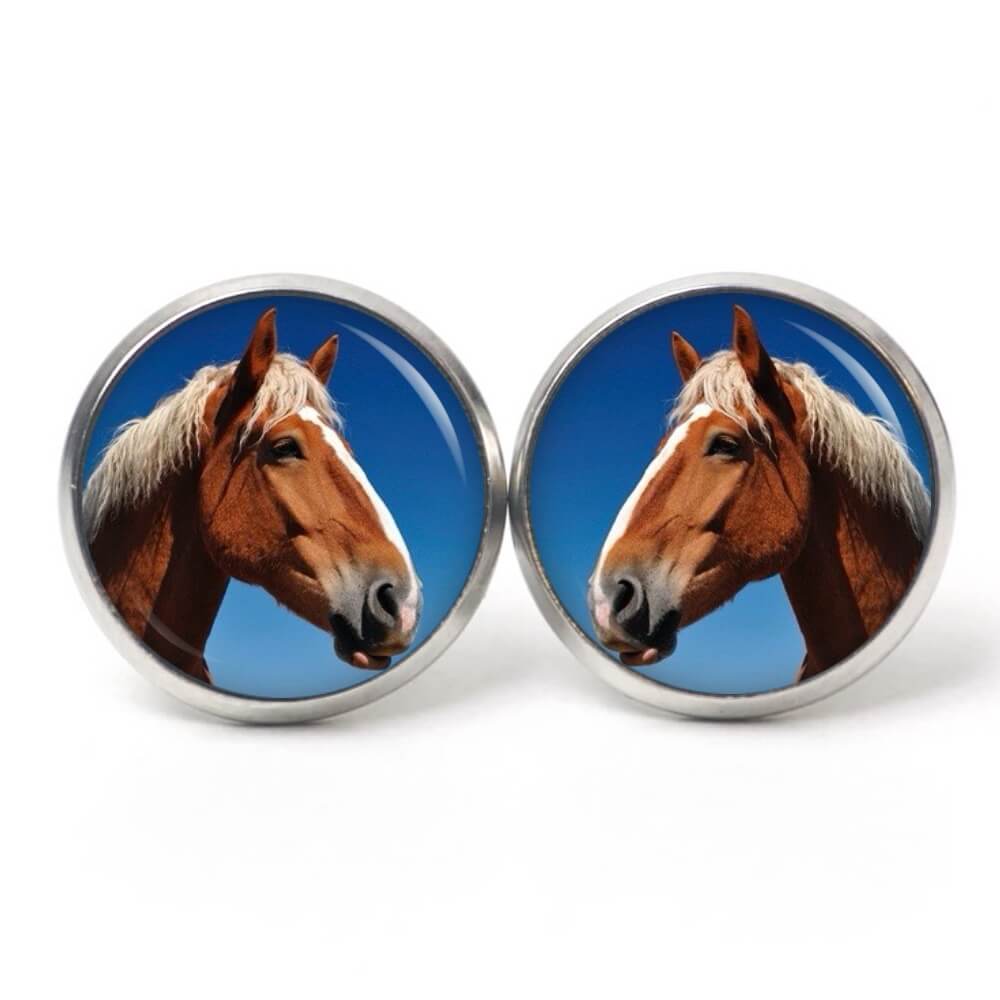 Ohrstecker, Ohrhänger, Clipse & Druckknopf – Motiv Pferd Pferdekopf braun – Schmuck aus Edelstahl Ohrstecker, Ohrhänger, Clipse & Druckknopf – Motiv Pferd Pferdekopf braun – Schmuck aus Edelstahl