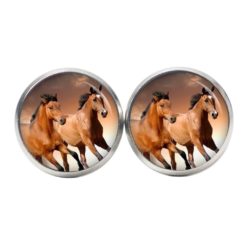 Druckknopf Ohrstecker Ohrhänger Clipse Pferd braune Pferde rennende Pferde