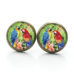 Ohrringe Papagei grün Tiere - Edelstahl
