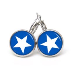 Ohrringe blau weißer Stern