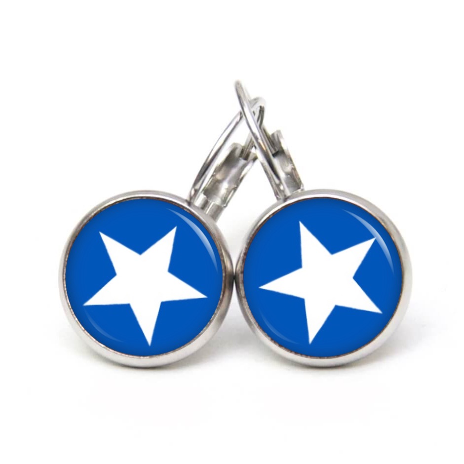 Druckknopf Ohrstecker Ohrhänger Clipse blau weißer Stern Druckknopf Ohrstecker Ohrhänger Clipse blau weißer Stern