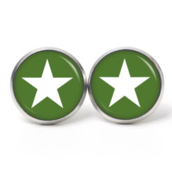 Ohrstecker, Ohrhänger, Clipse & Druckknopf – Motiv moosgrün weißer Stern – Schmuck aus Edelstahl