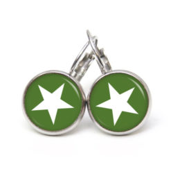 Ohrringe moosgrüner weißer Stern