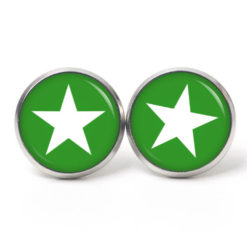 Ohrstecker, Ohrhänger, Clipse & Druckknopf – Motiv grün weißer Stern – Schmuck aus Edelstahl
