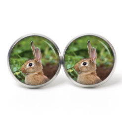 Osterhase Ohrringe aus Edelstahl – Ohrstecker, Ohrhänger, Clipse oder Druckknopf – süßer brauner Hase Ostern